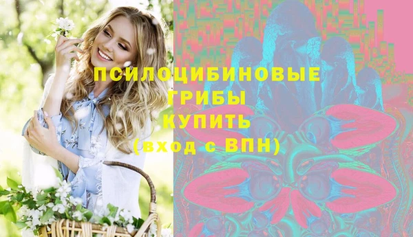 МДПВ Алзамай