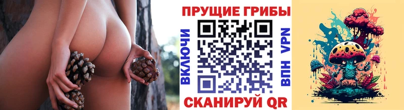 где купить наркоту  МЕГА tor  Галлюциногенные грибы мухоморы  Тюмень 